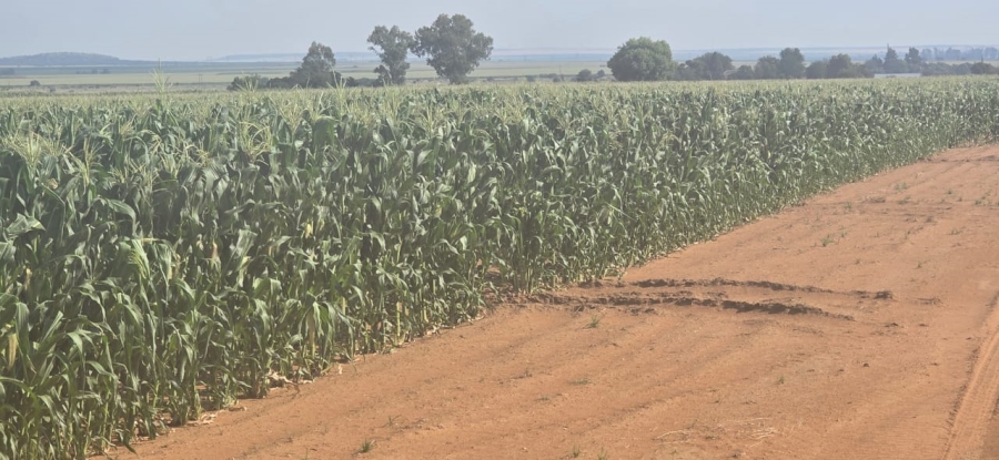 0 Bedroom Property for Sale in Hennenman Rural Free State